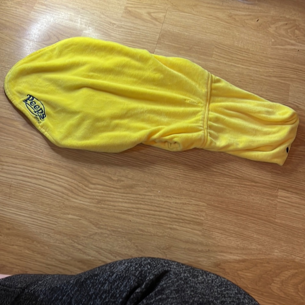 Peeps Chick Costume